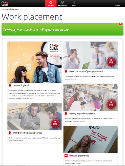 Work placement image